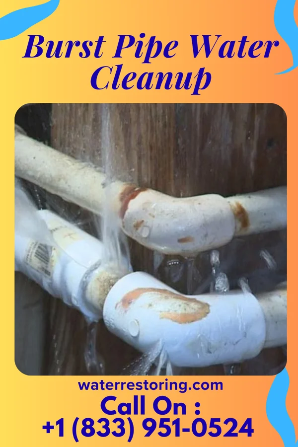 Burst Pipe Water Cleanup in East Brady, PA
