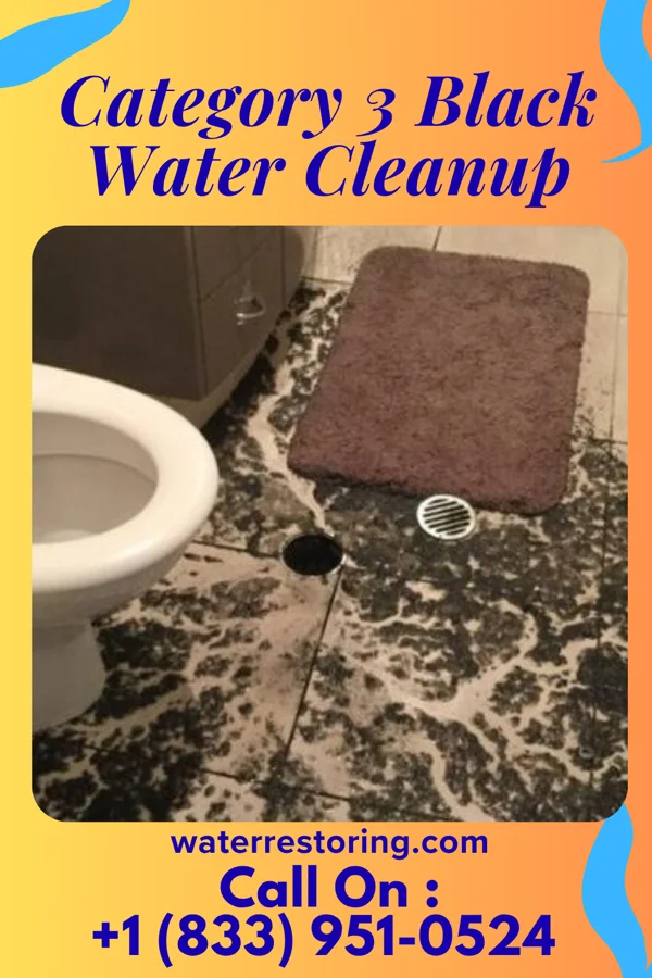 Category 3 Black Water Cleanup in East Brady, PA