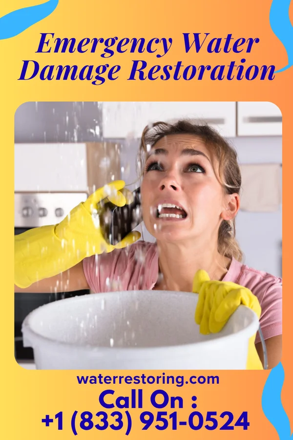 Emergency Water Damage Restoration in East Brady, PA