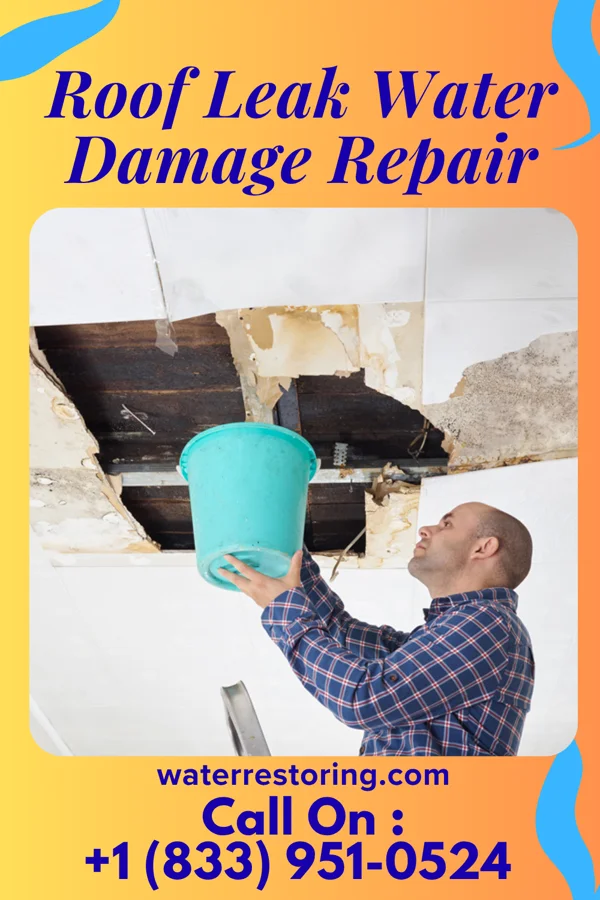 Roof Leak Water Damage Repair in East Brady, PA