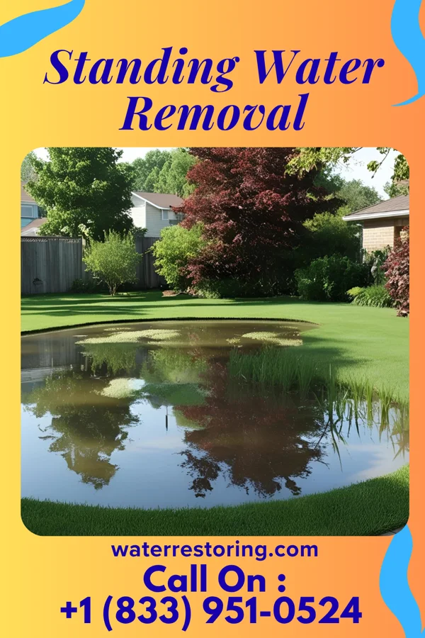 Standing Water Removal in East Brady, PA